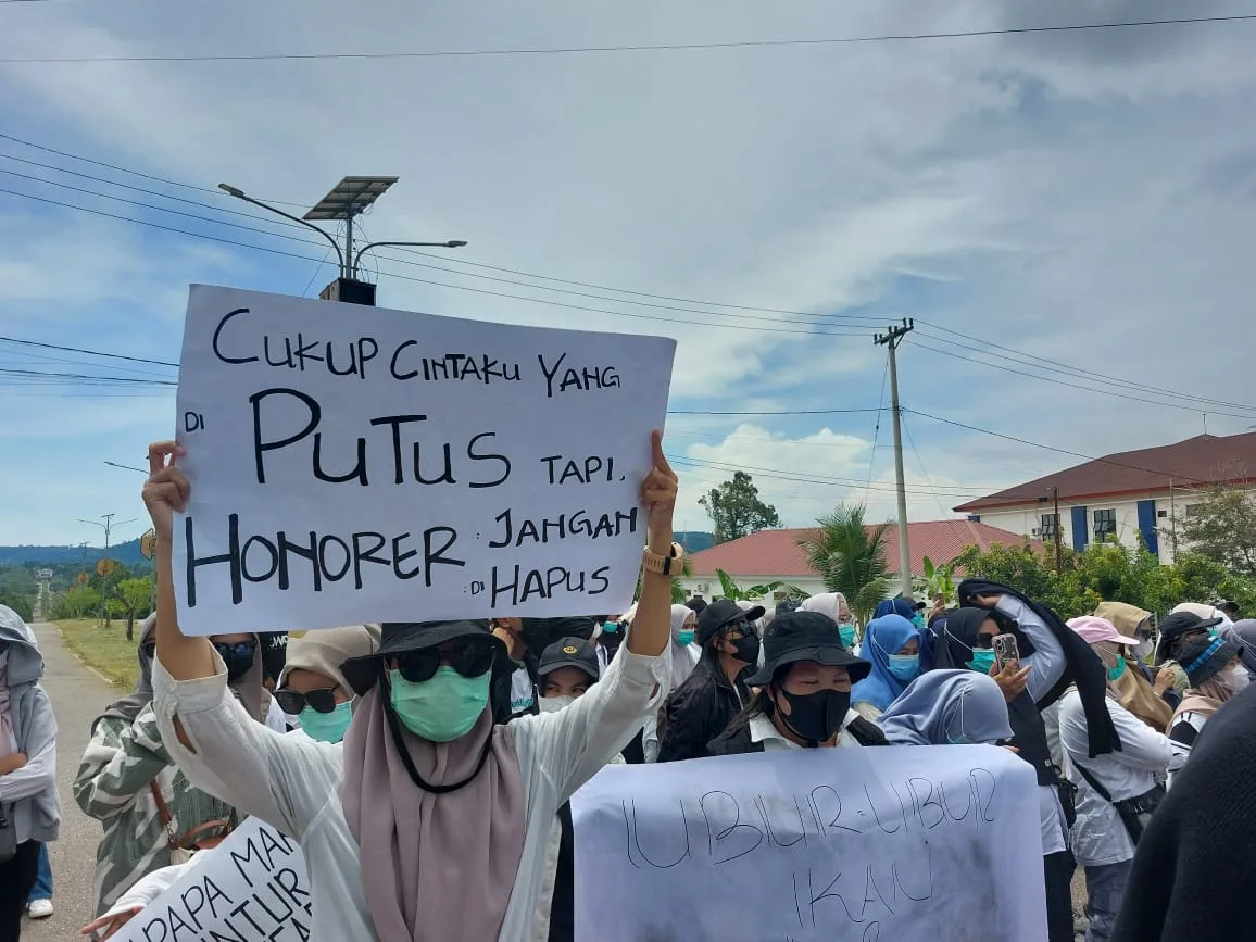 Aksi ratusan Tenaga Honorer demonstrasi di depan kantor DPRD Luwu Timur (foto: sadli tim warta merekam indonesia)