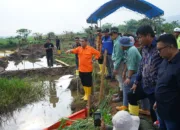 Bupati Irwan Tinjau Langsung Lokasi Kebocoran Pipa Minyak PT Vale
