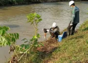 Pasca Insiden Kebocoran Pipa Minyak PT Vale, Air Danau Towuti Dinyatakan Aman untuk Digunakan