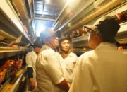 Peternakan Ayam Terbesar di Blitar Jadi Tempat Belajar Rombongan Pandu Juara Lutim