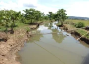 PT Vale Tegaskan Kemajuan Penanganan Kebocoran Pipa Minyak di Towuti