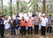 PANDU JUARA, Skema Besar Transformasi Ekonomi Desa Luwu Timur yang Terstruktur dan Berkelanjutan