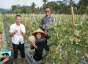 PKK Luwu Timur Serahkan Bantuan Hidroponik dan Kolam Terpal ke Dasawisma di Wanasari
