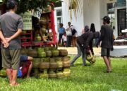 Stabilisasi Pasokan dan Harga Gas Melon, Pemkab Lutim Gelar Pasar Murah Elpiji 3 Kg