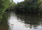 Warga Adukan Tanggul Rusak di Tampinna, Bupati Irwan Gerak Cepat