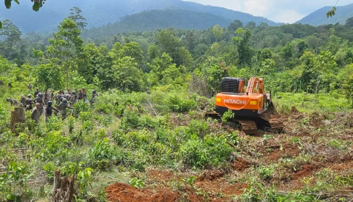 Proses Land Clearing PSN di Luwu Timur Kembali Kondusif Setelah Sempat Tegang