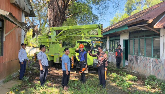 Jumat Bersih Juara Tetap Berjalan di Tengah WFH, Komitmen Luwu Timur Jaga Lingkungan