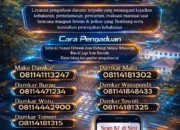 “Halo Damkar” Diluncurkan, Pemkab Luwu Timur Perkuat Layanan Tanggap Darurat 24 Jam