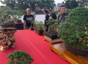 Pesona Bonsai Warnai Hari Bumi 2026 di Luwu Timur