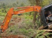 Pemkab Luwu Timur Tegaskan Lahan PT IHIP Merupakan Aset Sah Daerah