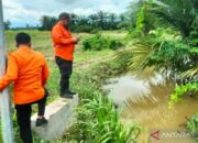 BPBD Luwu Timur dan BNPB Perkuat Koordinasi Pascabanjir Sungai Balo-Balo