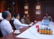 Percepat Pembentukan BNN Luwu Timur, Bupati Irwan Audiensi dengan Kepala BNN RI