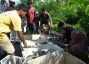 Panen Perdana 6 Ton Ikan Nila, Bupati Irwan Apresiasi Keberhasilan BUMDes Mabonta