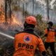 Karhutla Dekat Fasilitas Pertamina Ussu Berhasil Dipadamkan, BPBD Luwu Timur Ingatkan Bahaya Pembakaran Lahan