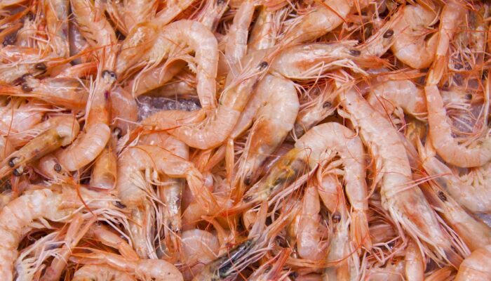 Cara Mengatasi Alergi Udang Sebelum Berujung ke IGD