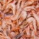cara mengatasi alergi udang