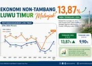 Ekonomi Non-Tambang Luwu Timur Tumbuh 13,87 Persen, Tertinggi dalam Lima Tahun Terakhir