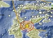 Gempa Luwu Timur M2,1 Guncang Siang Ini, BMKG Pastikan Aman