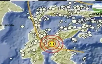 Gempa Luwu Timur M2,1 Guncang Siang Ini, BMKG Pastikan Aman