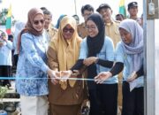 rumah hijau untuk semesta