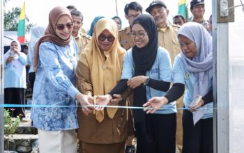 rumah hijau untuk semesta