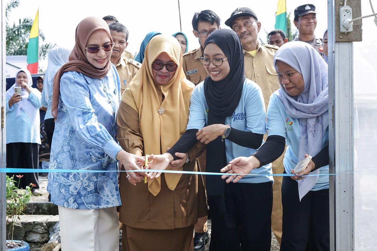 rumah hijau untuk semesta