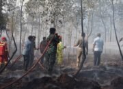 Turun Padamkan Kebakaran Lahan, Bupati Irwan Imbau Masyarakat Waspada karhutla