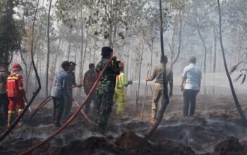 Turun Padamkan Kebakaran Lahan, Bupati Irwan Imbau Masyarakat Waspada karhutla