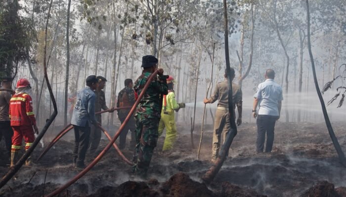 Turun Padamkan Kebakaran Lahan, Bupati Irwan Imbau Masyarakat Waspada karhutla