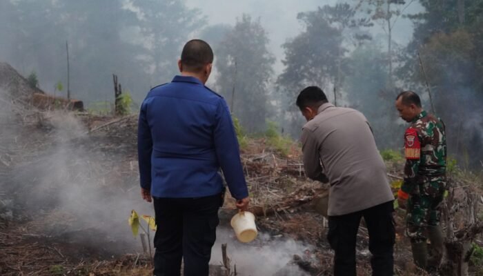 Respons Cepat Kebakaran Hutan, Bupati Luwu Timur Tinjau Lokasi di Puncak Indah