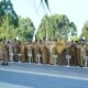 Bupati Luwu Timur Soroti Disiplin ASN, Kepala OPD Diminta Beri Sanksi Tegas ‎ ‎