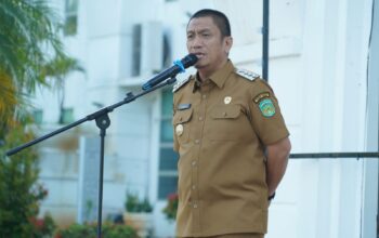 disiplin asn luwu timur
