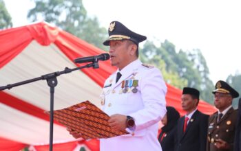HUT RI ke-81 Luwu Timur: Irwan Ajak Warga Bersatu