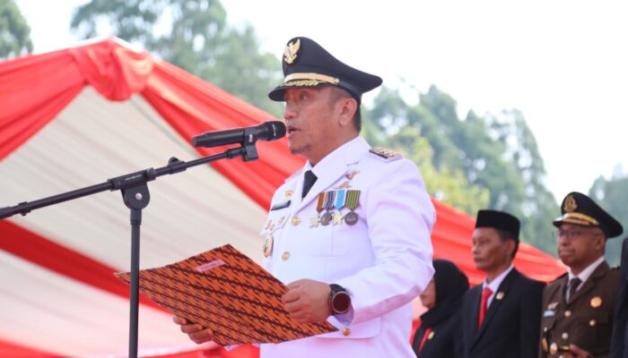 HUT RI ke-81 Luwu Timur: Irwan Ajak Warga Bersatu
