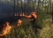 Karhutla Bangka Tengah Ganas, 118 Hektare Ludes Dua Bulan