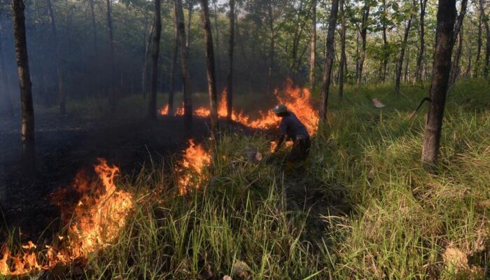Karhutla Bangka Tengah Ganas, 118 Hektare Ludes Dua Bulan