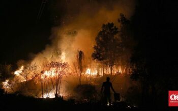 Kebakaran Hutan Musi Banyuasin, 25 Hektare Ludes Diduga dari Sawit