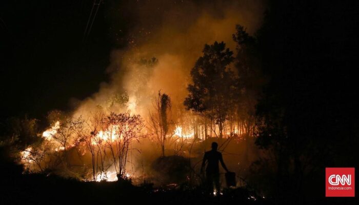 Kebakaran Hutan Musi Banyuasin, 25 Hektare Ludes Diduga dari Sawit