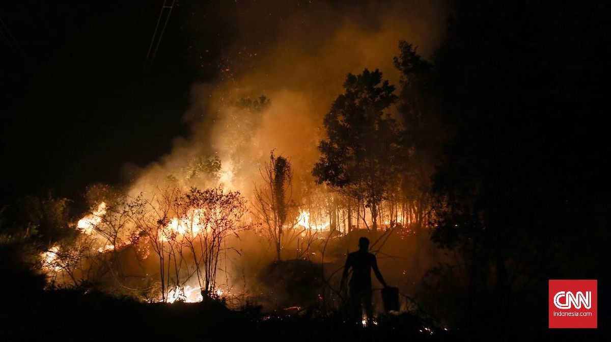 kebakaran hutan musi banyuasin
