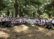 pekebun sawit luwu timur