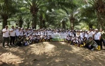 pekebun sawit luwu timur