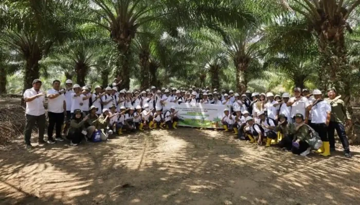 88 Pekebun Sawit Luwu Timur Diajari Trik Kejar Rendemen 25 Persen