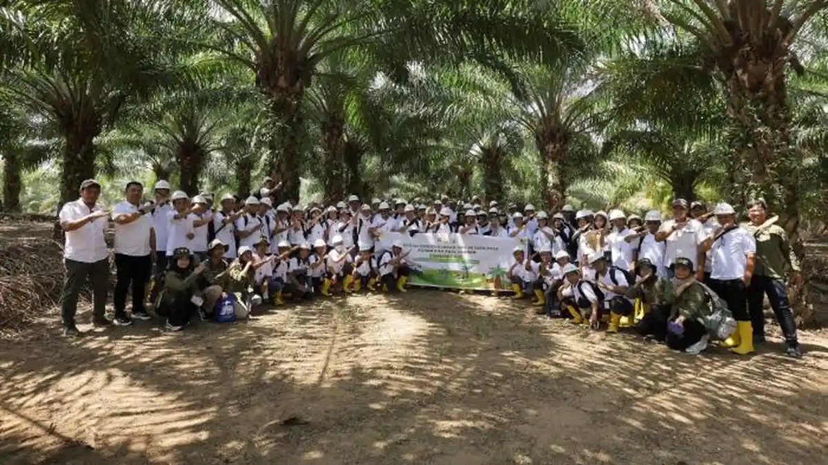 pekebun sawit luwu timur