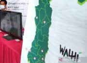 Pencemaran Pulau Mori Luwu Timur: Walhi Desak PT Vale Setop Tambang