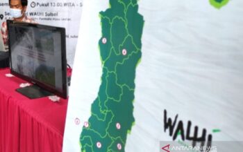 Pencemaran Pulau Mori Luwu Timur: Walhi Desak PT Vale Setop Tambang