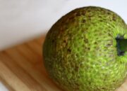 Sukun Superfood? Guru Besar IPB Ungkap Gizinya