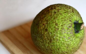Sukun Superfood? Guru Besar IPB Ungkap Gizinya