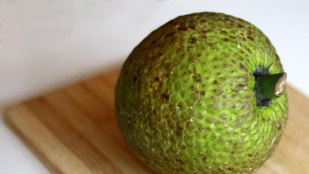 sukun superfood