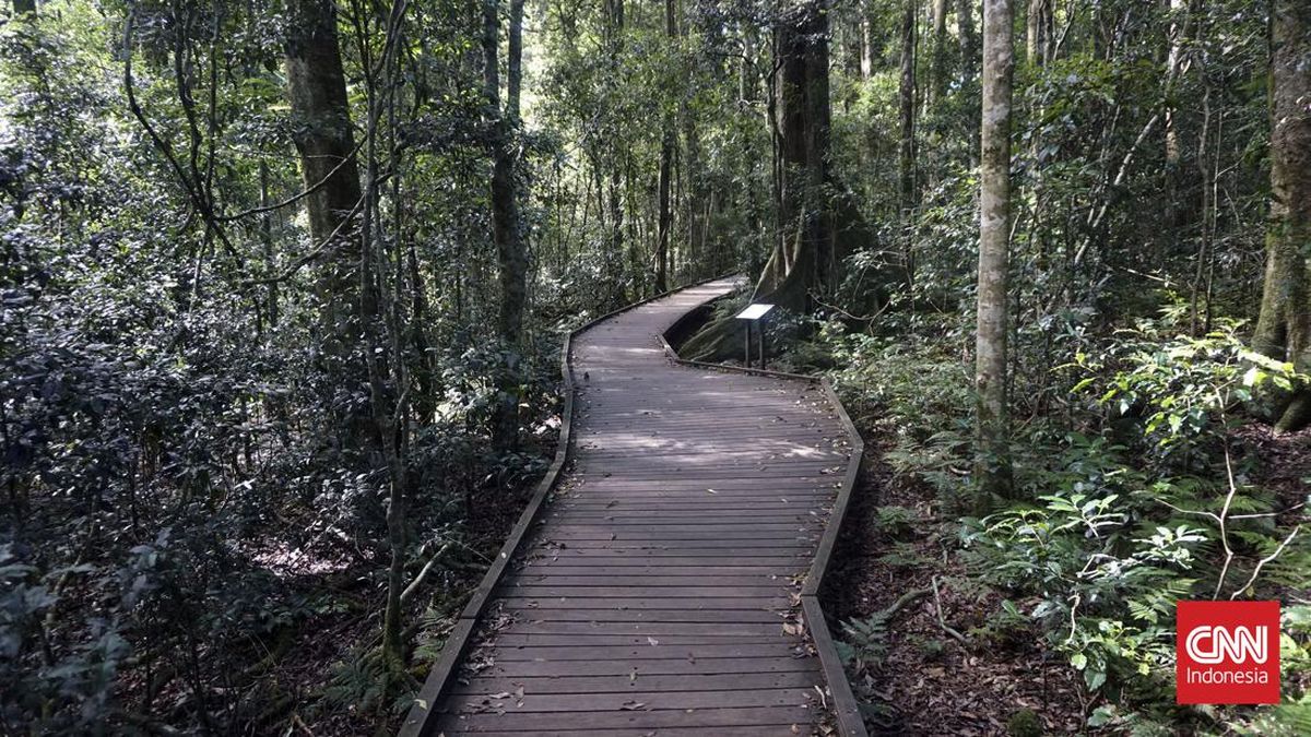 taman nasional gulguer