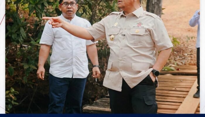 Demi Kelancaran Aktivitas Warga, Bupati Irwan Tinjau Jembatan Loppe dan Jalan Beton